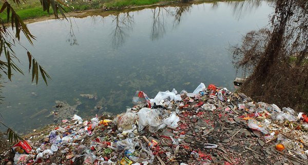 星空·综合体育-引“龙头”助养殖业“畜”势腾飞(图1) 星空综合