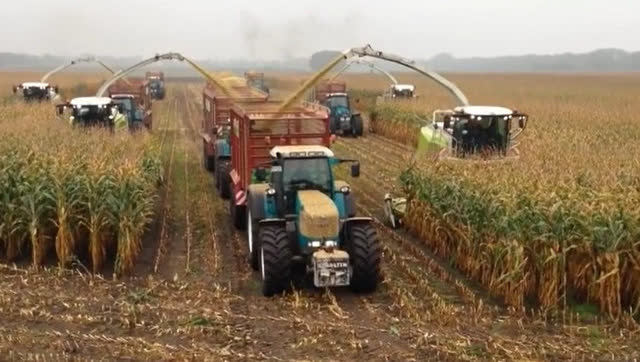 星空·综合体育