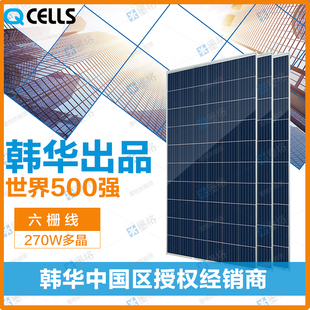 星空·综合体育