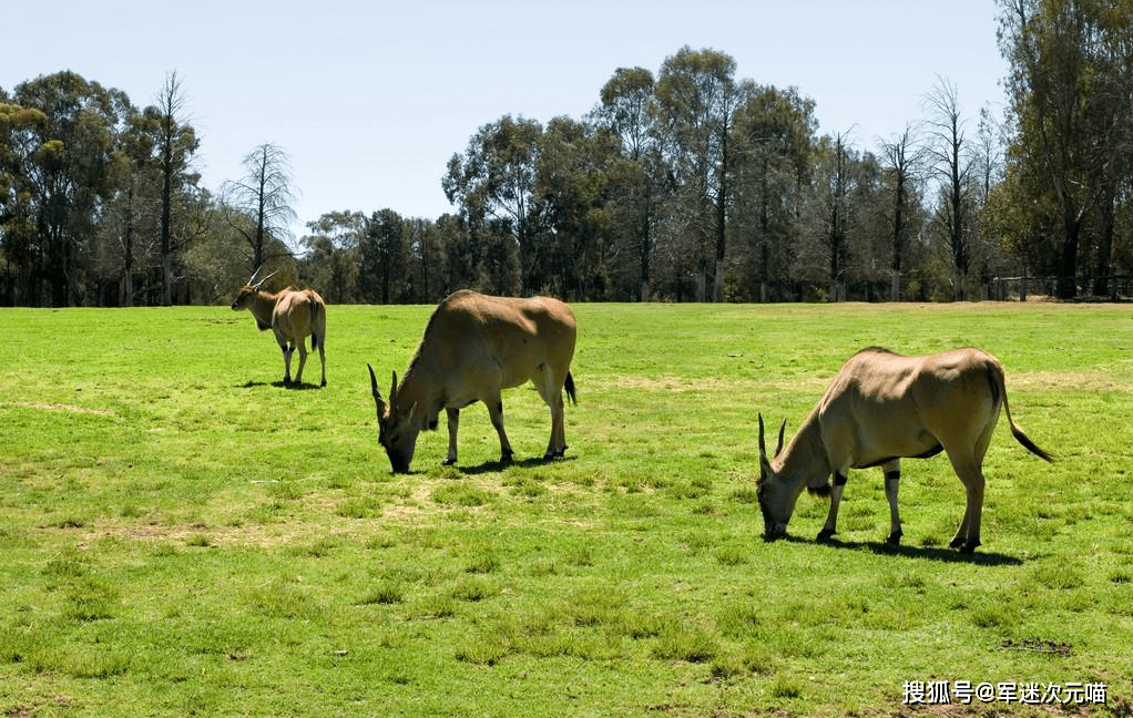 “星空综合”
80船煤炭被挡在国门外 澳大利亚经济陷入隆冬(图7) “星空综合”
80船煤炭被挡在国门外 澳大利亚经济陷入隆冬(图7)