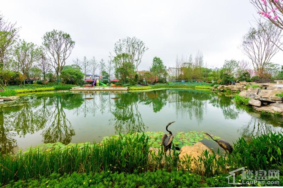 “星空综合”
80船煤炭被挡在国门外 澳大利亚经济陷入隆冬(图9) 星空综合