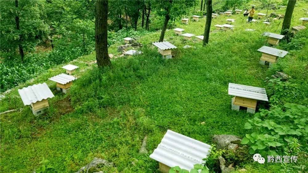 星空·综合体育