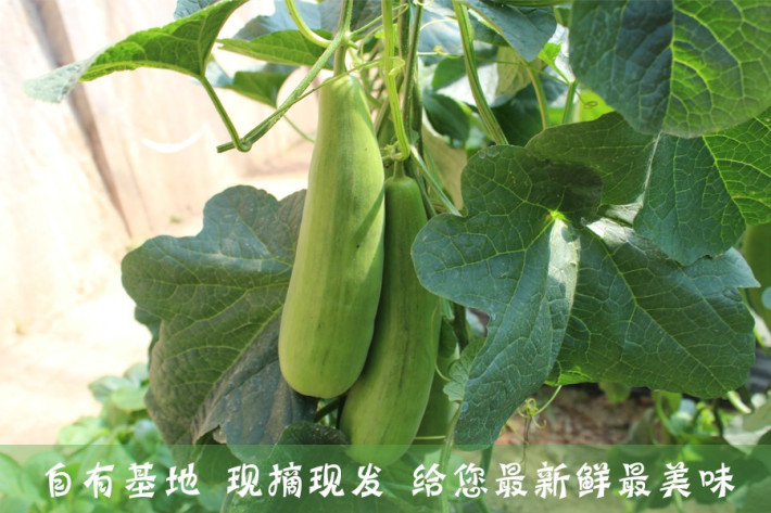 闲碎-星空综合(图3) 星空·综合体育