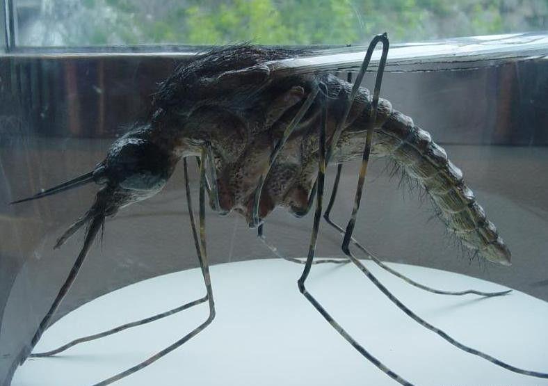 ‘星空综合’廊坊市城乡规划设计院举办2016年技术总结报告会(图2) 星空综合