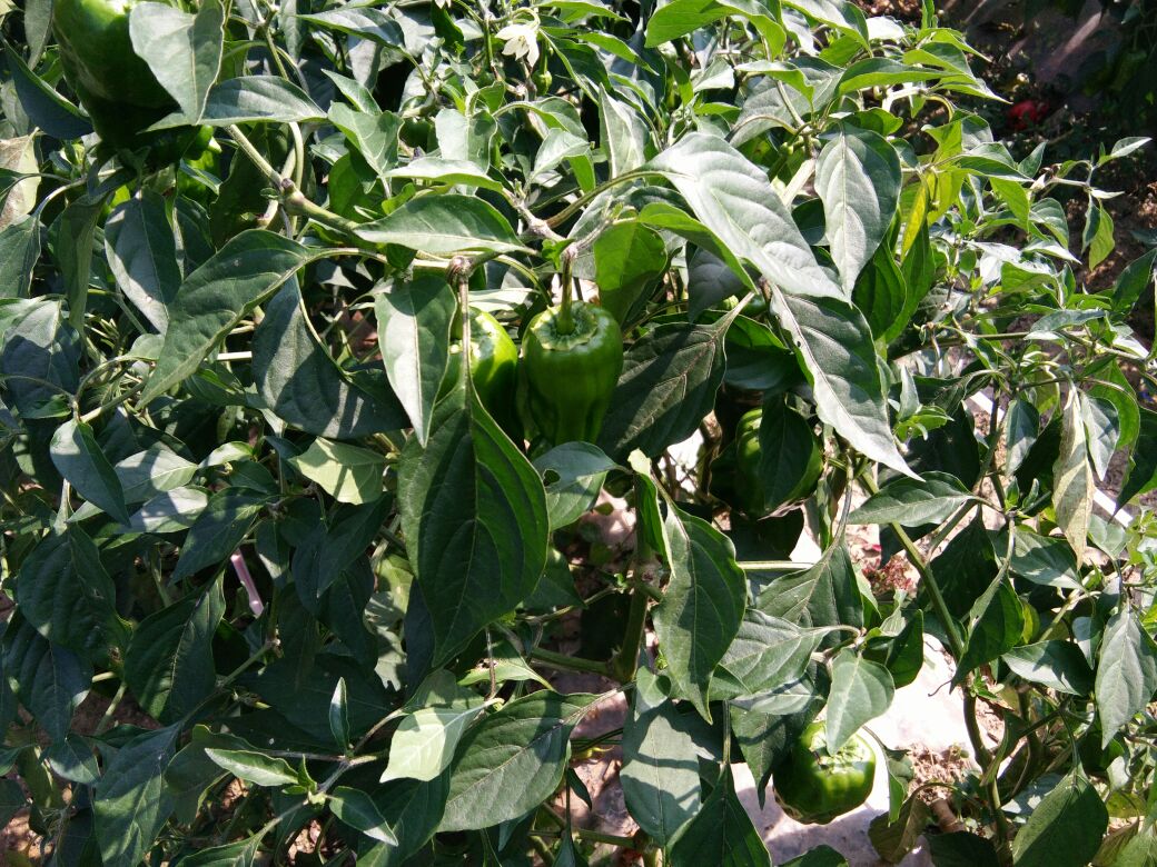 星空·综合体育