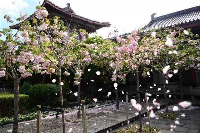 星空·综合体育