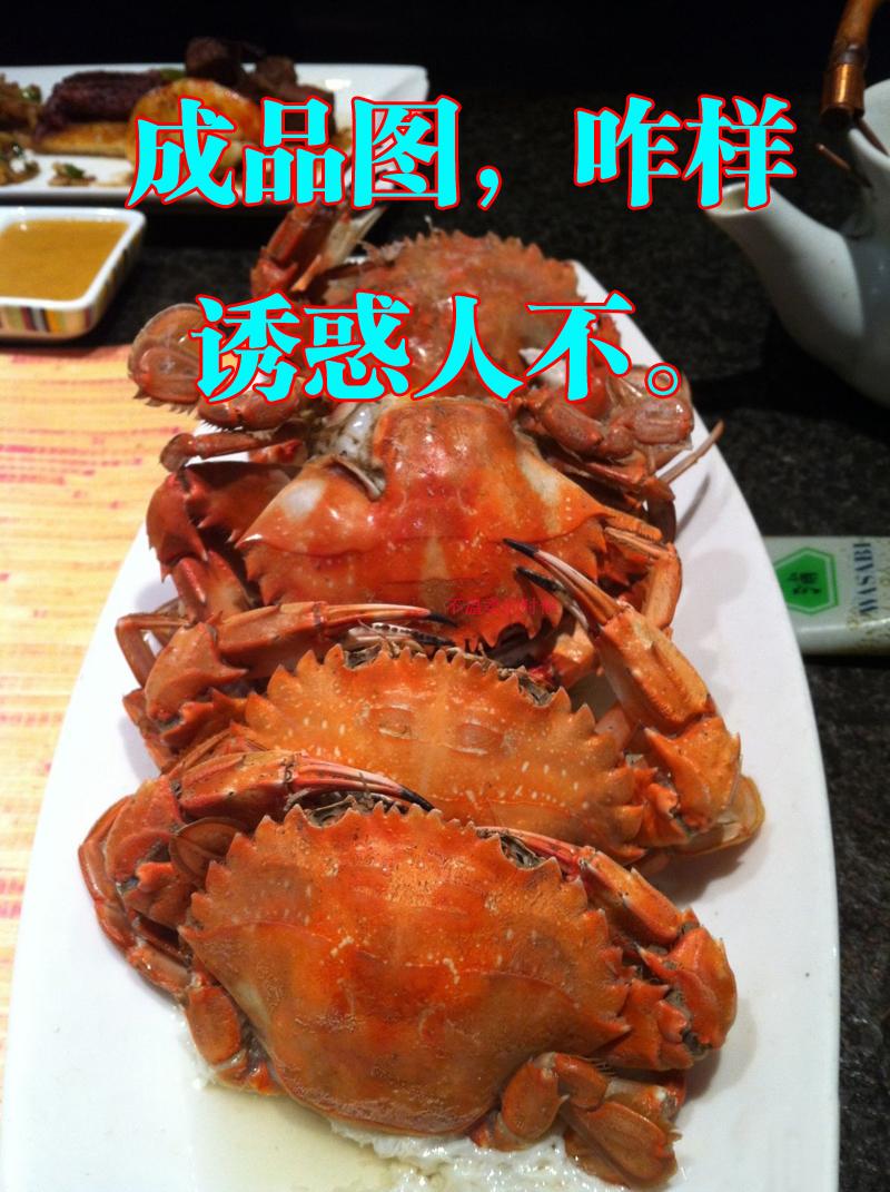 星空·综合体育