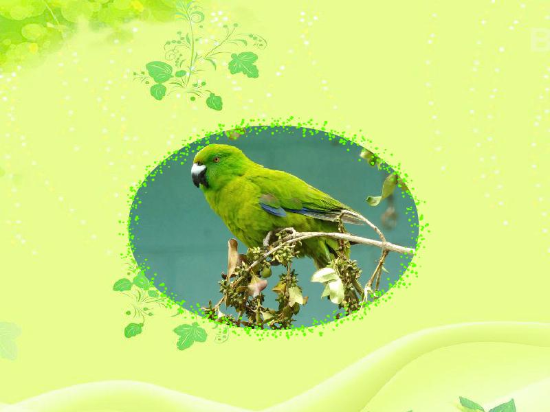 星空·综合体育