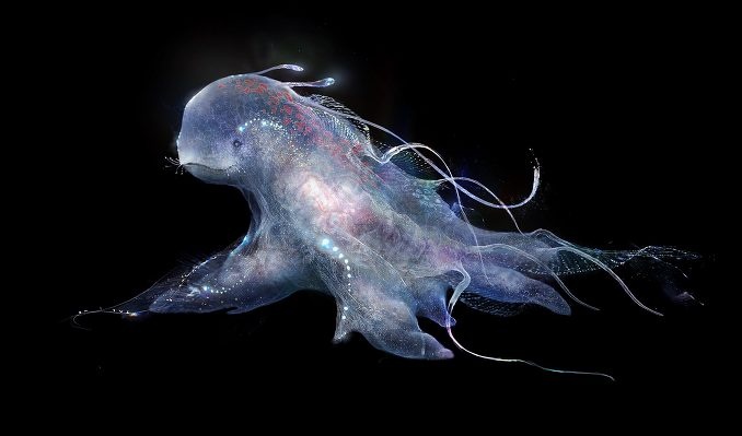 星空·综合体育