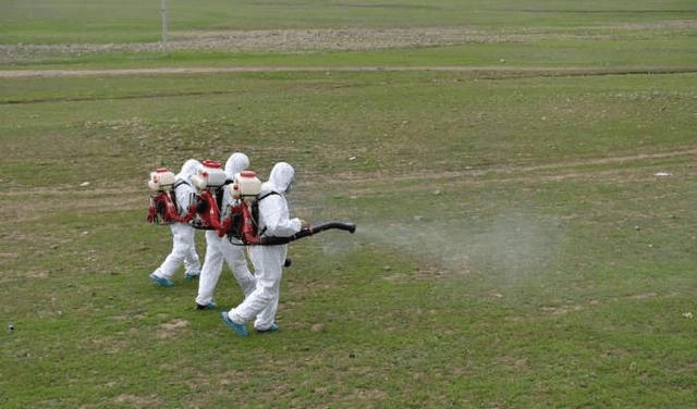 星空·综合体育_
蝗灾肆虐 巴基斯坦为何没有出动“战斗鸡”、“冲锋鸭”灭蝗(图8)