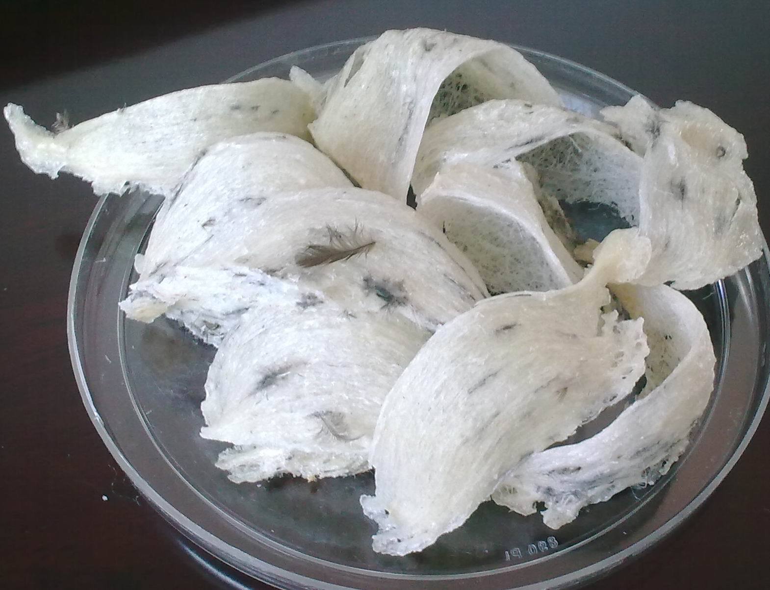 星空·综合体育