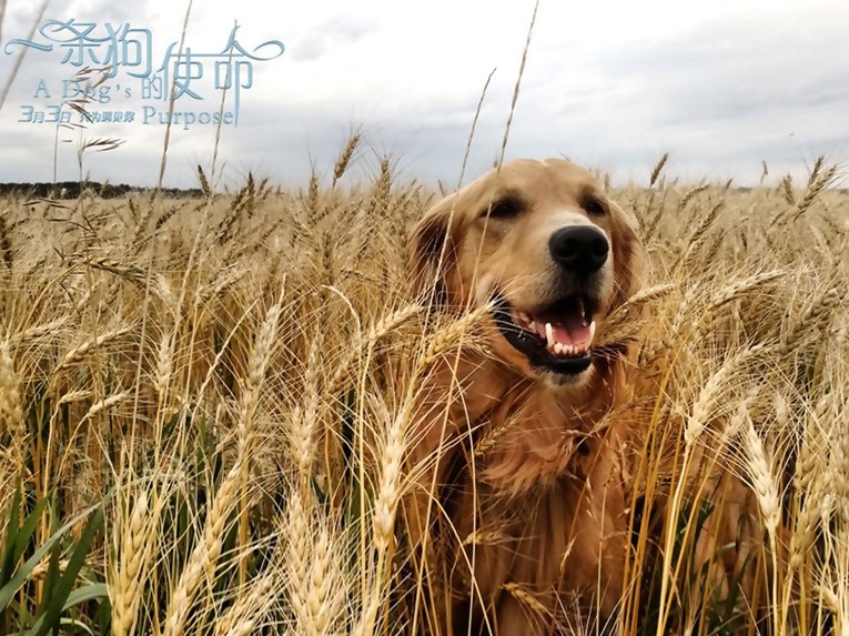 星空·综合体育